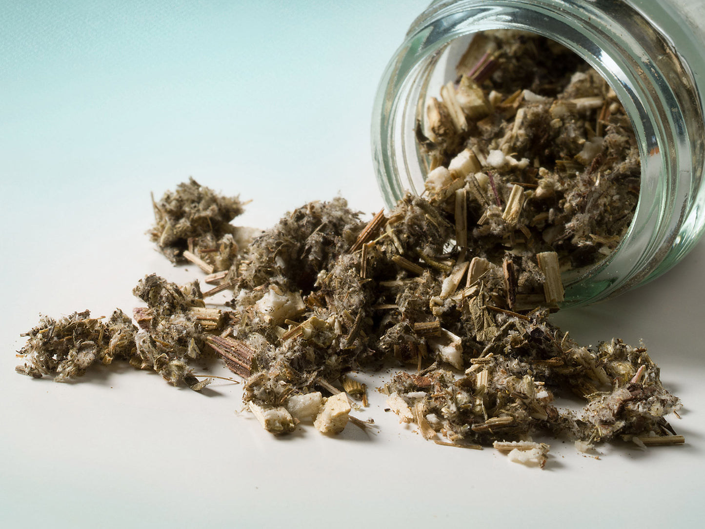 Palina rímska / Artemisia Absinthium 20g